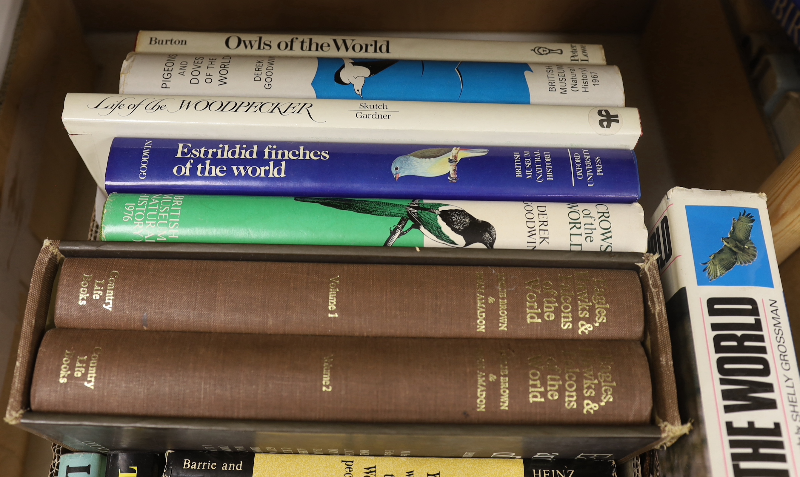Walls, Sean & Kenward, Robert - The Common Buzzard. coloured plates and other illus. publisher's cloth and d/wrapper, 2020; Goodwin, Derek - Crows of the World. coloured plates and other illus.; publisher's cloth and d/w